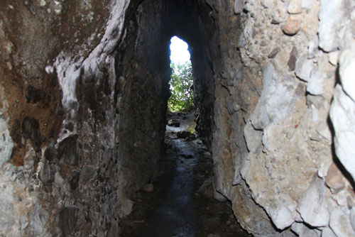 Whatipu Caves Track