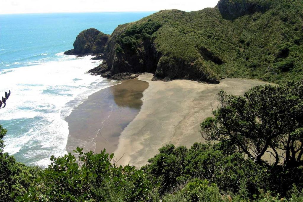 View of Whites Beach, Piha West Auckland