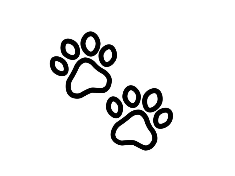 paw support new logo 1 768x574
