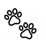 Paw Support