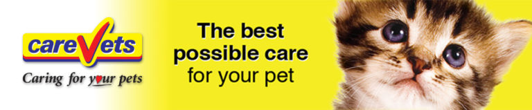 CareVets Glen Eden 2 768x159