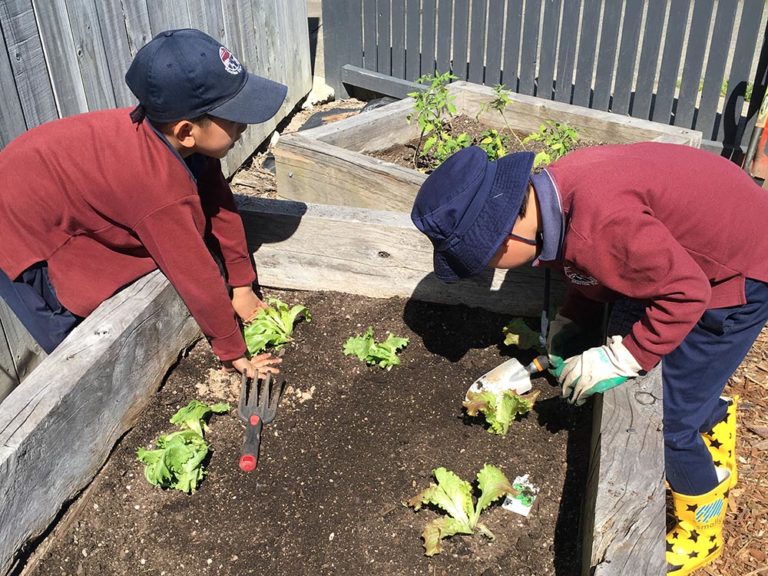 Marina View School 4 768x576