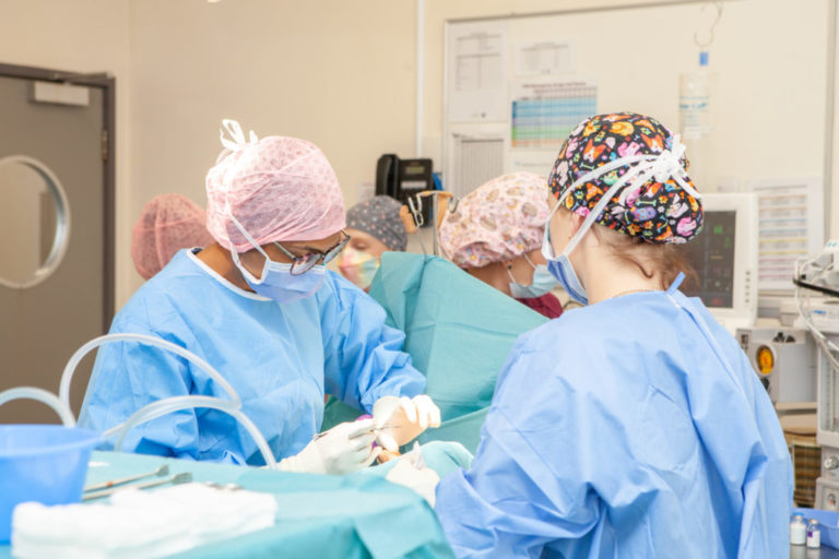 VSA WEST 3 1 768x512