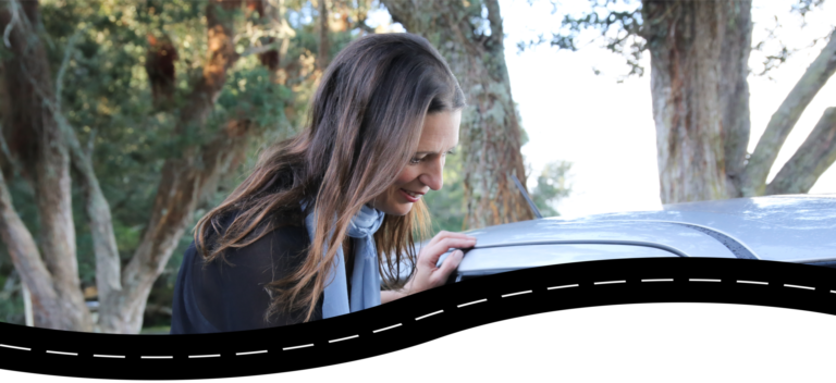 Best West Driving School 1 768x352