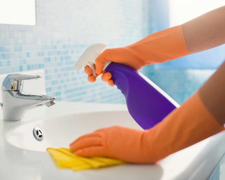 CleaningPro 5 768x614