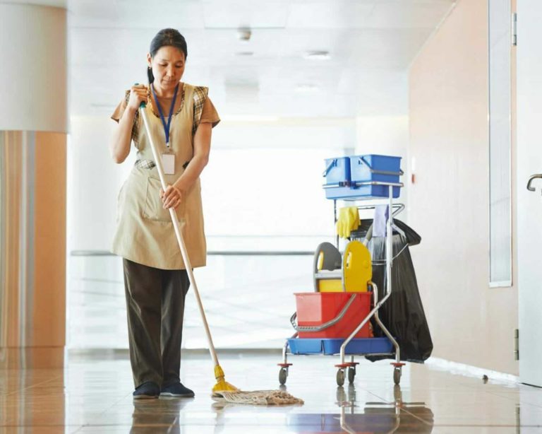 CleaningPro 6 768x614