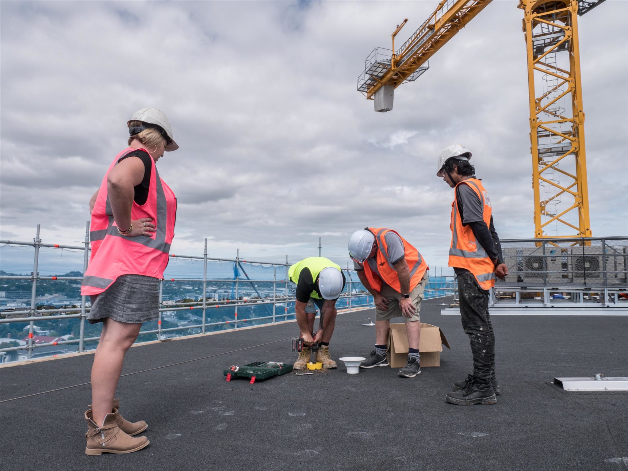 Heron Plumbing Plumbers West Auckland