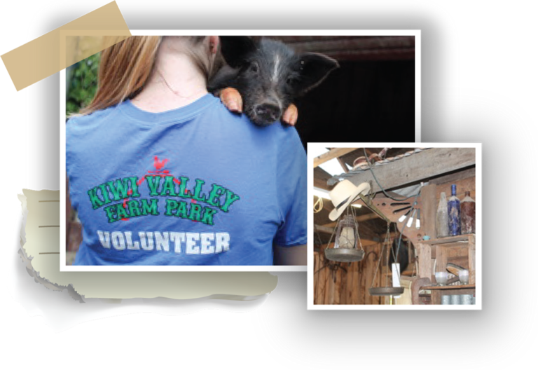 Kiwi Valley Farm 2 768x528