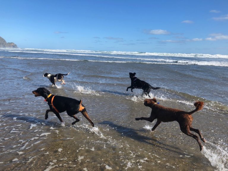 Rovers Return 3 768x576