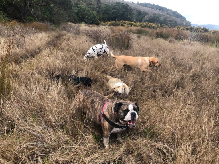 Rovers Return 4 768x576