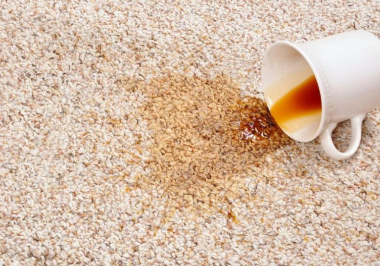 WestAuclandCarpetCleaning 5 768x537