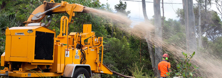 Waitakere Tree Services 2 768x271