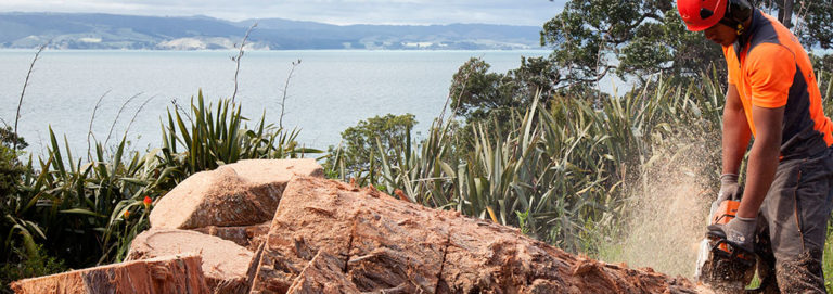 Waitakere Tree Services 5 768x271